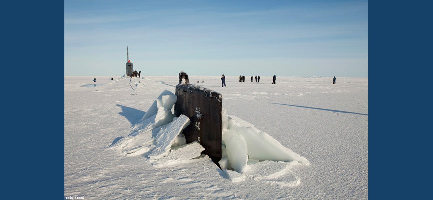 Арктическое логово русских медведей